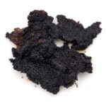 vanilla-bean-seeds_1
